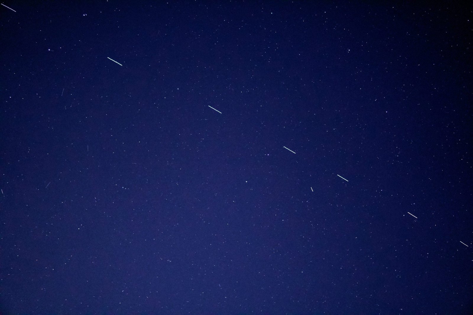 birds flying in the sky during night time